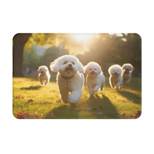 HDSKFNS Paillasson imprimé Oodles of Caniches, tapis d'entrée pour porche, salle de bain, buanderie, décoration de sol