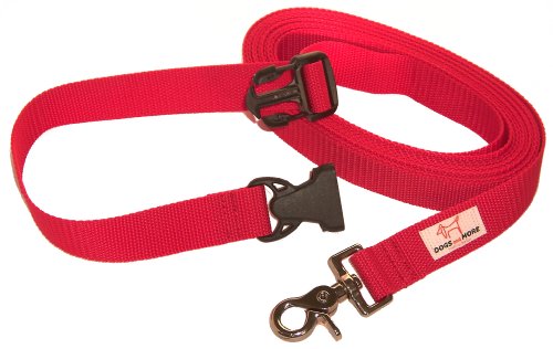 DOGS and MORE  Correa de perro EXTENSIBLE y con lazo de mano para abrir / correa de entrenamiento / correa de adiestramiento = > 5 Metros en Rojo