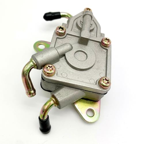 Alimentación de combustible para buggy UTV 300cc Jcl y Linhai Bighorn 3