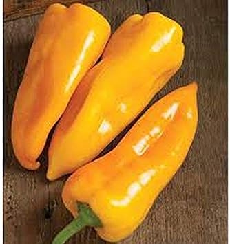 Escamillo Sweet Pepper Seeds
