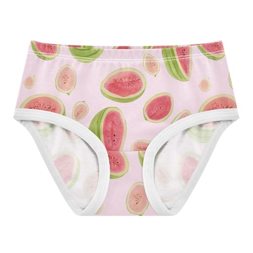 Wusikd Watermelon Pink Guava Girls' Underwear Cotton Girls Briefs Soft Toddler Underwear 2T