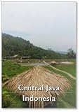 Photomagnet