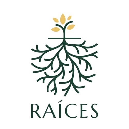 Conectando en Navidad 🎄