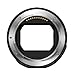 Nikon FTZ II Objektivadapter für Z-Serie Kameras - Verwendung von DSLR-Objektiven Mit Spiegellosen Kameras - USA-Modell