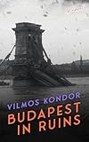 Budapest in Ruins...image