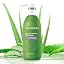 Shampoo - Oil Controlling