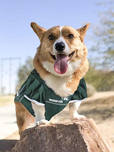 Image of Pets First Collegiate Michigan State Spartans Dog Mesh Jersey, Medium