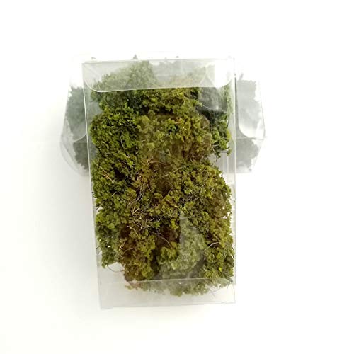 DIY Miniature Shrubs Bushes Foliage Terrain Model Kit Sand Table Simulation Landscape War Gaming Terrain Decoration Railroad Scenery War Gaming Scenery - Image 7