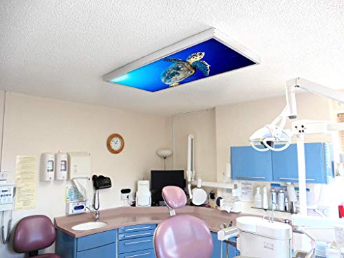 Image of Fluorescent Light Cover for Classroom Ceiling Lights - Premium Backlit Film Insert 2x4 (22.38 inchx46.5 inch) Florescent Fixture (Pack of 1) School, Office, Sensory, Improve Focus, Eliminate Headache - Turtle