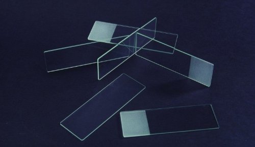 Single Frosted - Enhanced - Gross Pack 144