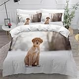 Zoom IMG-1 set copripiumino una piazza e Zoom IMG-1 set copripiumino una piazza e