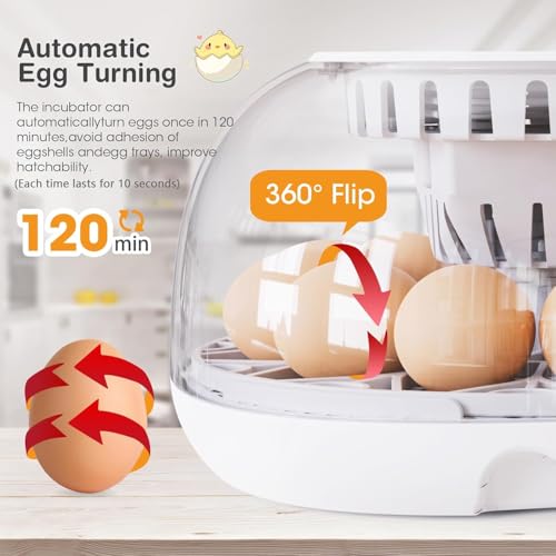 Incubators for Hatching Eggs, 12-24 Egg Incubator with Automatic Egg Turning and Humidity Control, Automatic Water Adding, LED Egg Candler, for Hatching Chickens, Duck, Quail, Goose Eggs - Image 3
