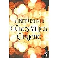 Günes Yiyen Cingene 9751406110 Book Cover