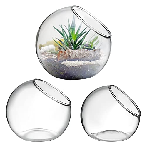 Mipcase Jarrones Cristal para Terrarios: 3 Jarrones Cristal Transparente Cuenco Burbujas Cristal Transparente Jarrones Esféricos para Decoración Centros Mesa del Hogar