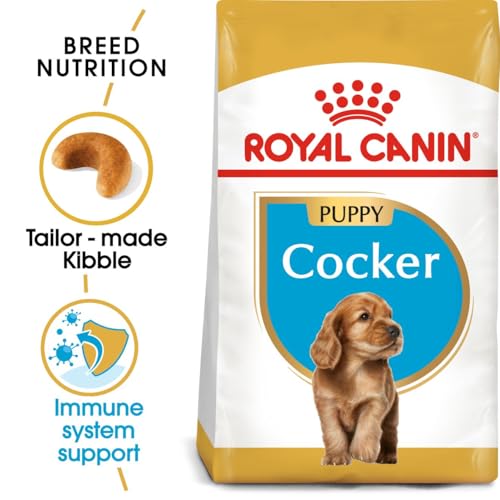 Royal Canin Cocker Junior 3 kg, 1er Pack (1 x 3 kg)
