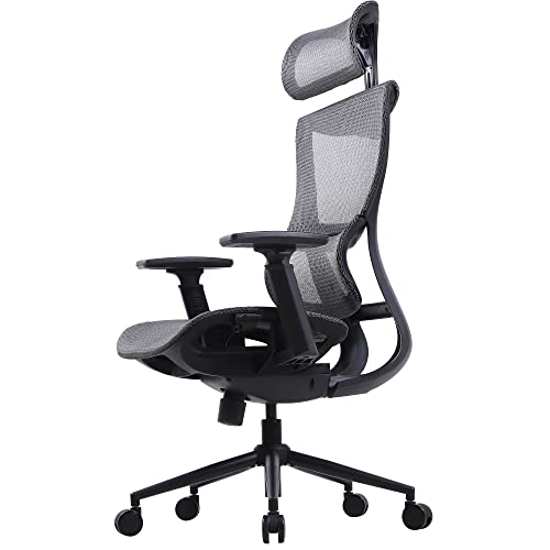 Dowinx Ergonomischer Bürostuhl-, Computerstuhl mit hoher Rückenlehne, Höhenverstellbarer Sitz mit Lordosenstütze, Schreibtischstuhl aus Netzgewebe mit 3D-verstellbaren Armlehnen (Grau) Cover