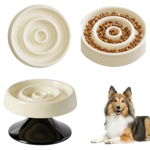 Lifetips VFbghV[vhbO VFeB Lp X[t[h{E ؐ Hh~ ~ HZbg ^ L  􂢂₷ i-̌^^CvAC{[j