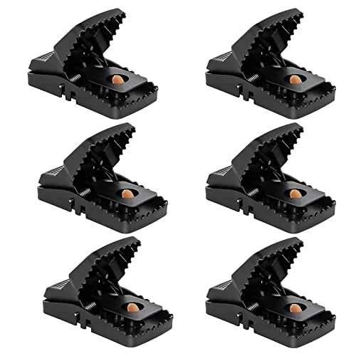 (6 Pack),Mice Traps For House,Mouse Traps, Small Mice Trap For The House For Instant Kill Results #TOP3