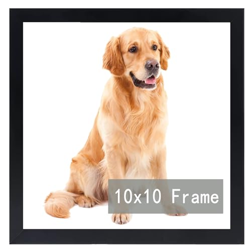 RUN HELIX 10x10 Picture Frame for Square Photo Poster Canvas Certificate Document Display Horizontally or Vertically High Transparent Wall Gallery(Black 10 x 10 inches) black 10x10inch(set o