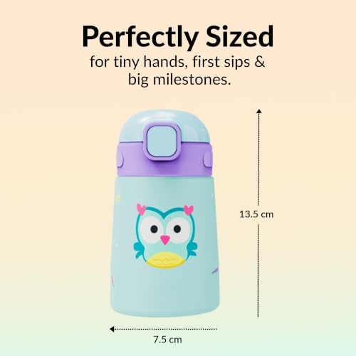 Image of rabitat Milo Stainless Steel Water Bottle 350ml | 2 Year Brand Warranty | BPA Free | Leakproof Steel Sipper Bottle for Kids | Flip Lock Lid with Straw | Easy Carry Handle | Sky Hoot