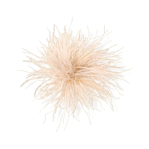 LAKPYN 1 peça broche de penas para mulher, pena de avestruz natural broches de penas de avestruz para mulher, broche de penas para mulher para carnaval, Halloween, festa temática, disfarce, teatro(C)