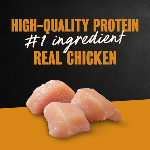 Image of Cesar Classic Loaf in Sauce Wet Dog Food, Chicken & Veal, 3.5 oz, 24 Count | Made in USA, Real chicken #1 ingredient, no fillers /added sugar /artificial flavors, use as meal or topper, easy peel trays