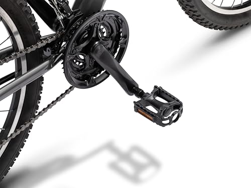Schwinn Basic Composite Pedals