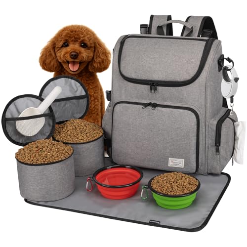 Top 5 Best Summer Pet Travel Accessories