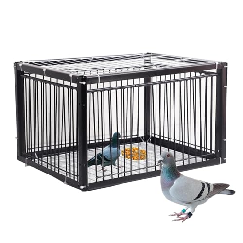  Eoh~݌v   ʍs̓  P[W Aj}gbv O ߊl ɊQ͂܂ gݗĊȒP AXYAngȂǂ _AʎA뉀AoRj[ (ubN,100*60*26CM)