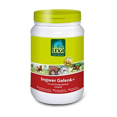 Ingwer Gelenk+ Cover