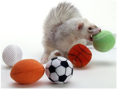 Marshall Ferret - Pelotas deportivas (paquete de 2 variadas) disponible en Yaxa Mexico