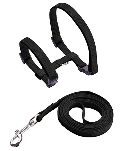 PUPTECK Adjustable Cat Harness Nylon Strap Collar with Leash Black - Image 3
