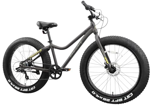 AC[Lv(Eizer Camp) r[`N[U[ yt@bgoCNz͂̋ɑ^C WfBXNu[L yʃA~t[ 7iϑ 26C`26x4.0 Xm[oCN FATBIKE MOON260 `R[O[