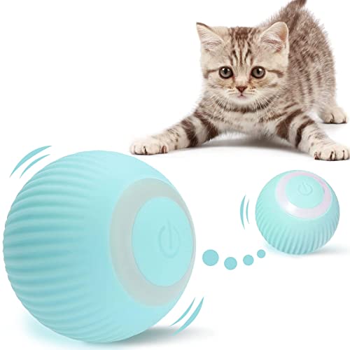amazon.ae Best Sellers The best items in Interactive Toys for Cats