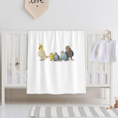 xr[ѕz CR IE  r[uuPbg |ѕz  uPbg ^IPbg ʋC q ۈ牀 [΍ GARpi lGʗp ?蕨 150X200cm