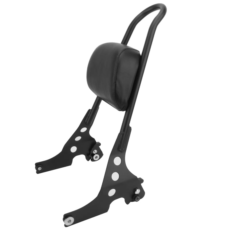 Coussin de dossier passager arrière amovible de haute finition pour Sportster X48
