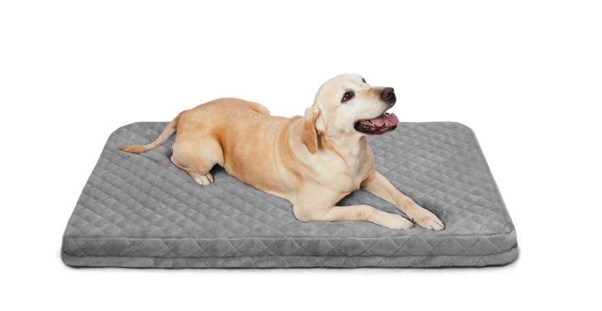 Dreamland Doggys Orthopedic Dog Bed for Rest with Removable Washable Cover - Soft Flannel Top Pet Beds with Anti Slip Bottom, Light Grey, M (31.5"x25.6"x2") (B0CYM8D4W4) Amazon Price History, Amazon Price Tracker