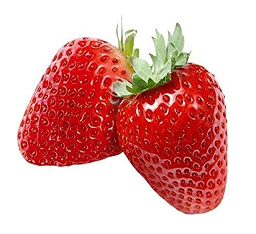 Fragole Bio, 300 Gr.