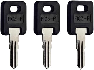 G362 Purple RV Keys (3 Keys)