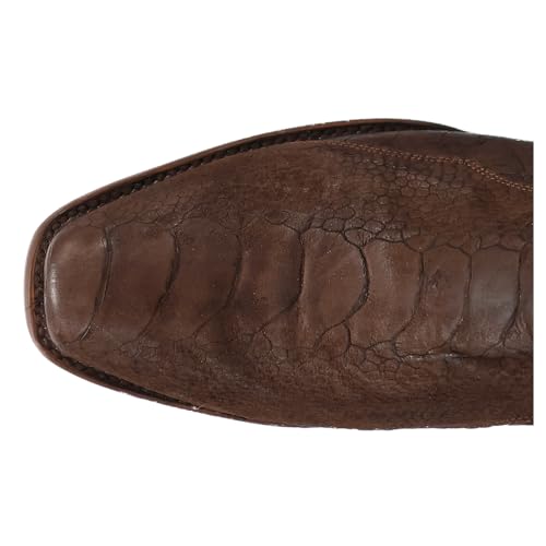 Dan Post Brown/Brown Anders Ostrich Leg Men's 13 inch 7-Toe Boots DP31034