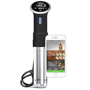A Comprehensive Look at the ANOVA Culinary Sous Vide Precision Cooker: WiFi + Bluetooth + 900W (Discontinued) 3 41s+CzlhSAL. SS300