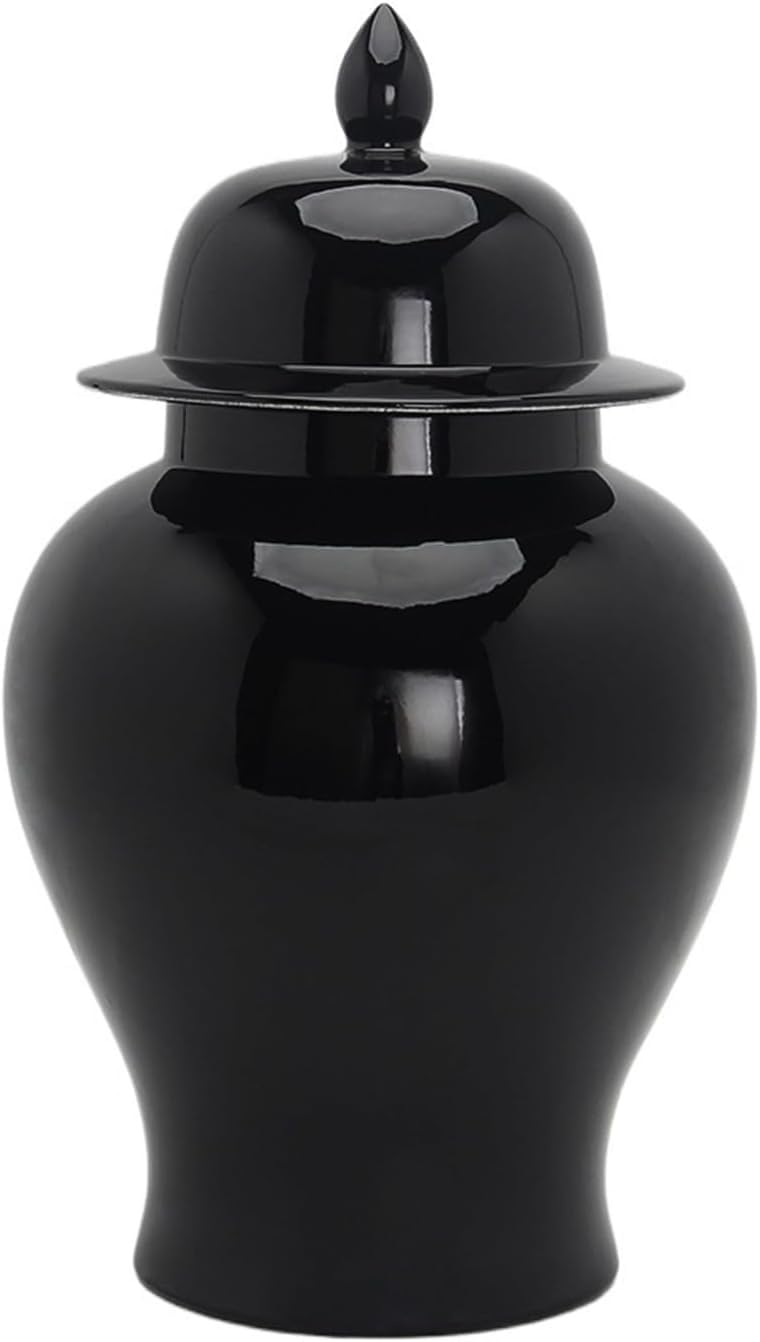 Pot à gingembre en céramique et vase de décoration intérieure