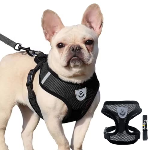 JYNVO Guinzaglio Per Gatti Pettorina Gatto 1 Pettorina per Animali Domestici - Logo Argentato Rete Nera Taglia S - Per Passeggiate di Cane e Uscite di Gatto