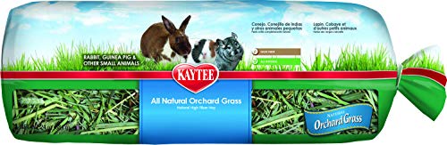 Kaytee Orchard Grass 24oz