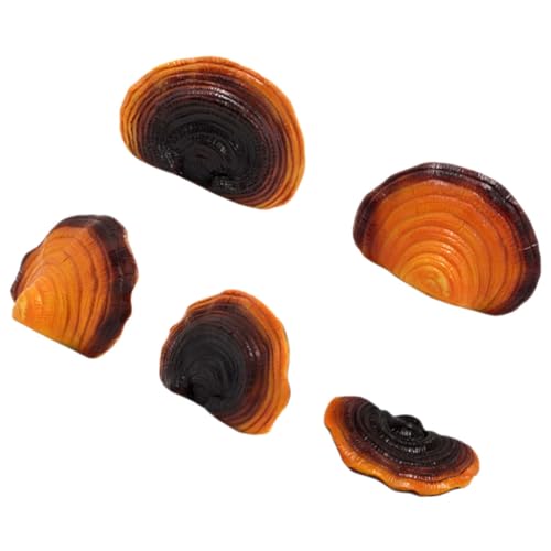 Ornements simulés de Ganoderma Lucidum pour égayer un parterre de fleurs - 7