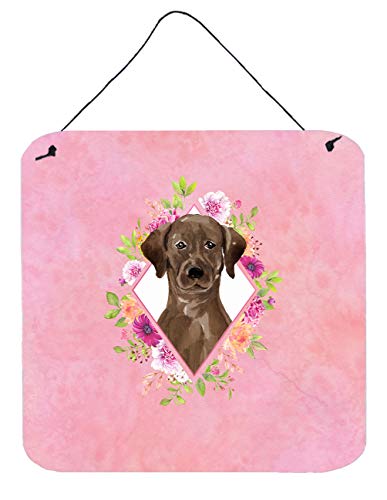 Caroline's Treasures CK4251DS66 Chocolate Labrador Pink Flowers Wall or Door Hanging Prints Aluminum Metal Sign Kitchen Wall Bar Bathroom Plaque Home Decor, 6x6, Multicolor