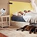 Greentech QT7 Bladeless Fan - Whisper Quiet Air Circulator - Safe Around Pets and Children