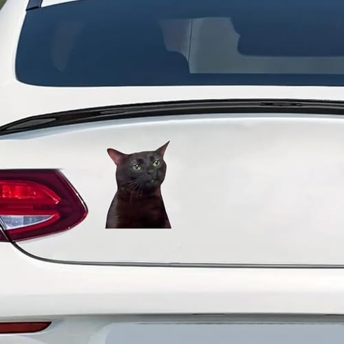 Calcomanías de gato negro impermeables y troqueladas de 6 pulgadas para carrocería 5