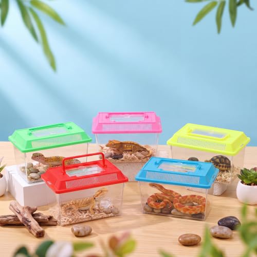 Image of LemonRoad 15 Pcs Plastic Reptile Terrariums,Classic,10.6x6.7x5.9 Inch