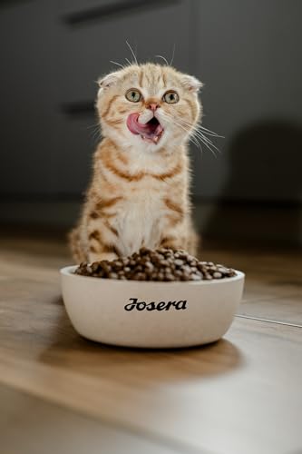 JOSERA Kitten grainfree (1 x 10 kg) | Kitten | Premium Trockenfutter für heranwachsende Katzen sowie Katzen-Mütter in der Säugezeit | Geflügel & Lachsöl | getreidefrei | Katzenfutter | 1er Pack